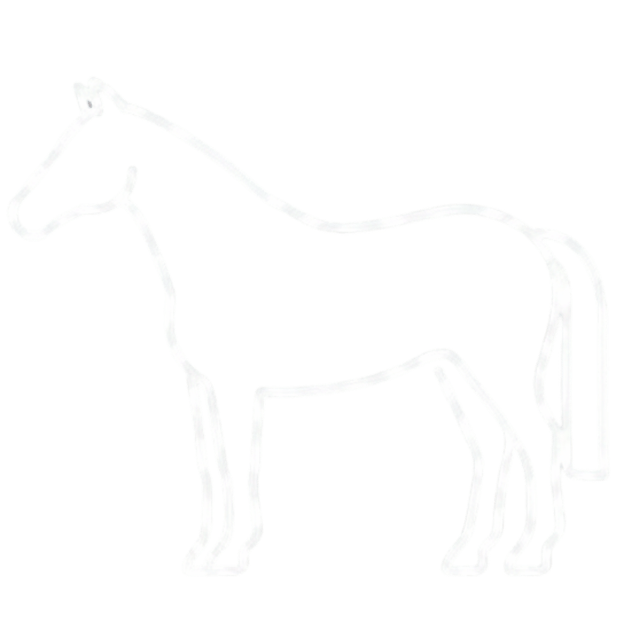 Equinos