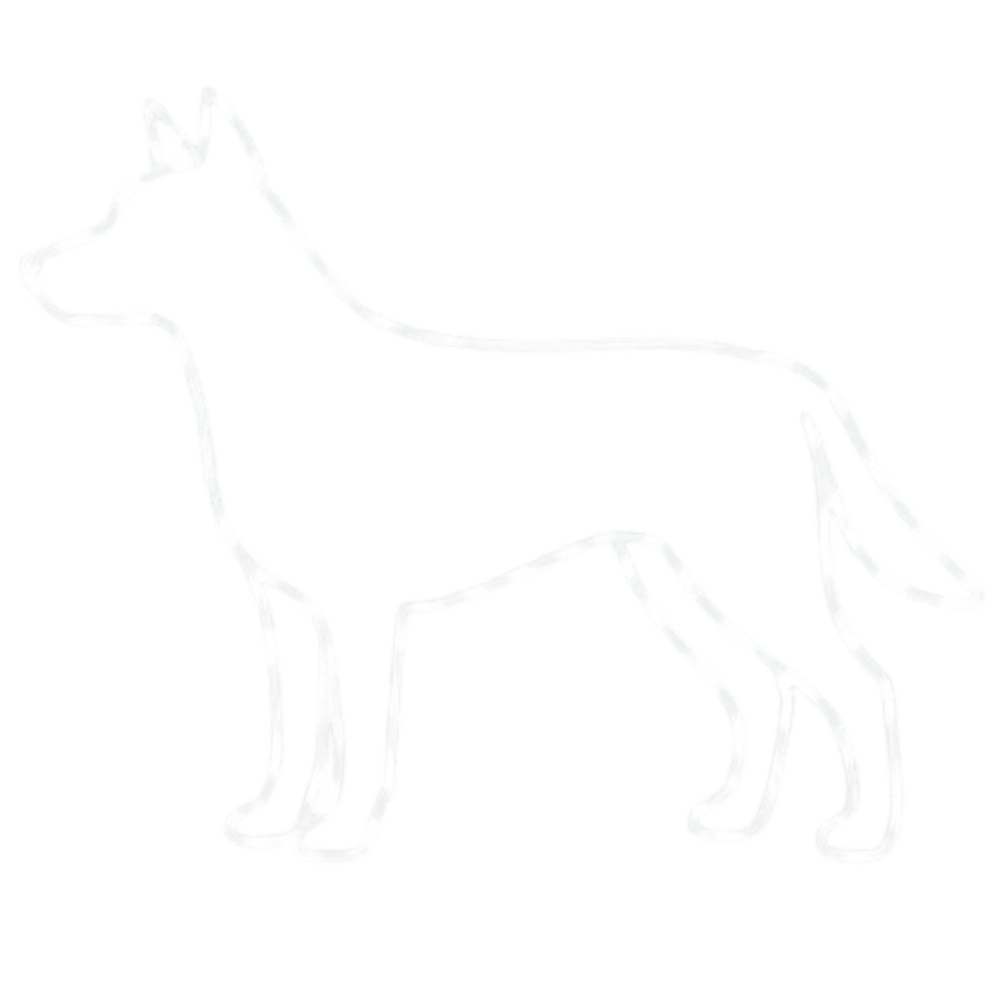 Perros de Trabajo
